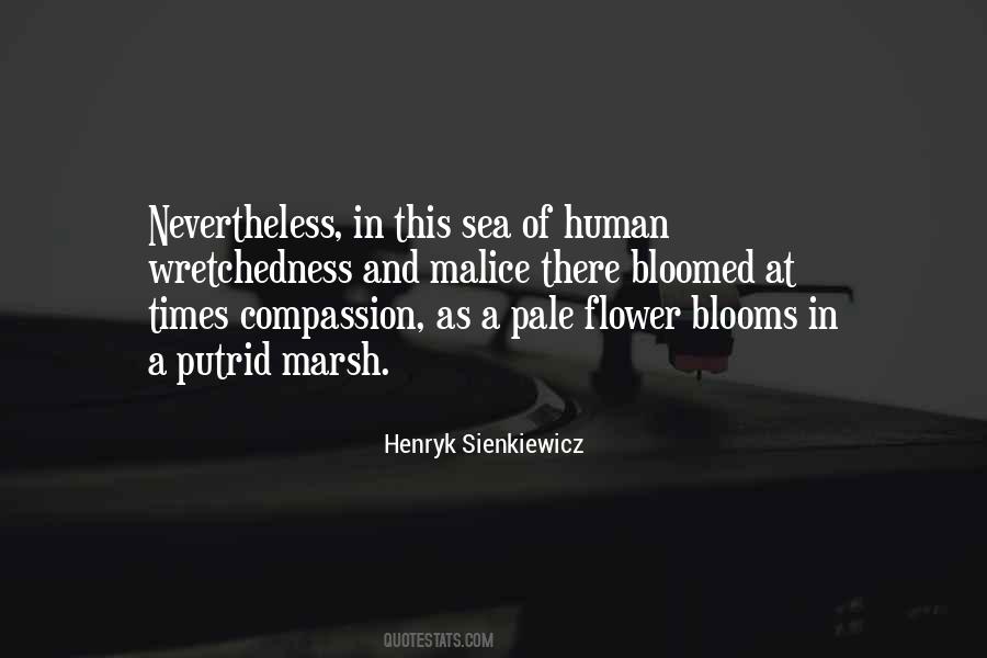 Henryk Sienkiewicz Quotes #693533