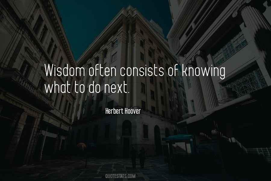 Herbert Hoover Quotes #395034