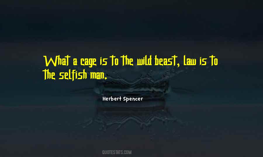 Herbert Spencer Quotes #599870