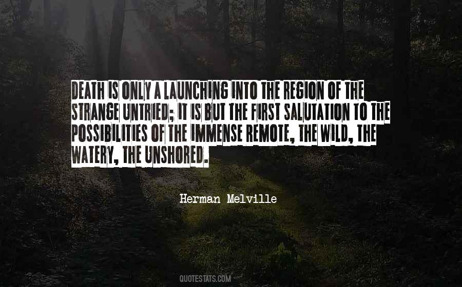 Herman Melville Quotes #1804616