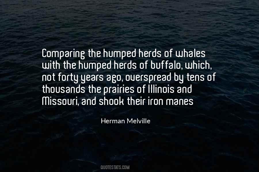 Herman Melville Quotes #180824