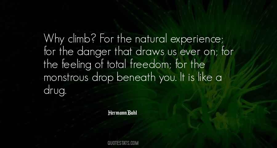 Hermann Buhl Quotes #67364