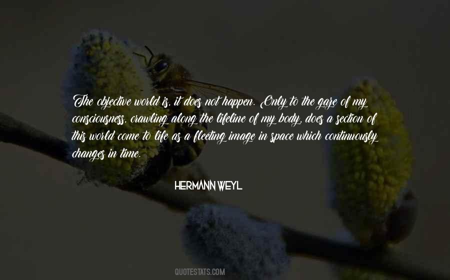 Hermann Weyl Quotes #1675697