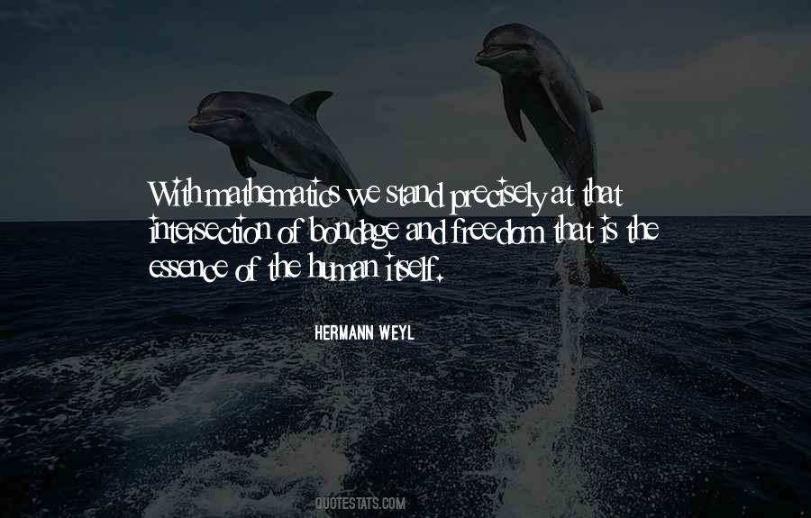 Hermann Weyl Quotes #504517