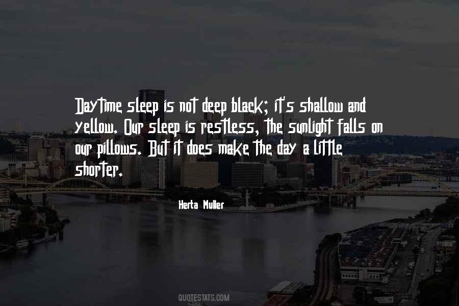 Herta Muller Quotes #1421572