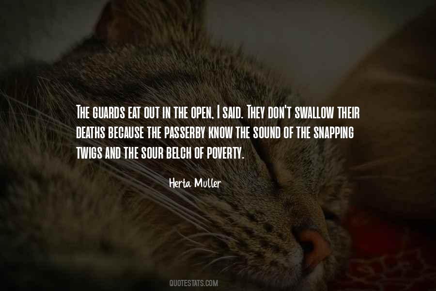 Herta Muller Quotes #176490