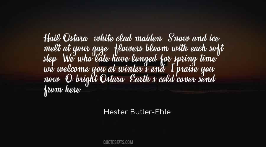 Hester Butler-Ehle Quotes #986589
