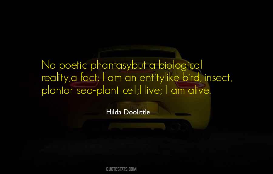 Hilda Doolittle Quotes #1403398