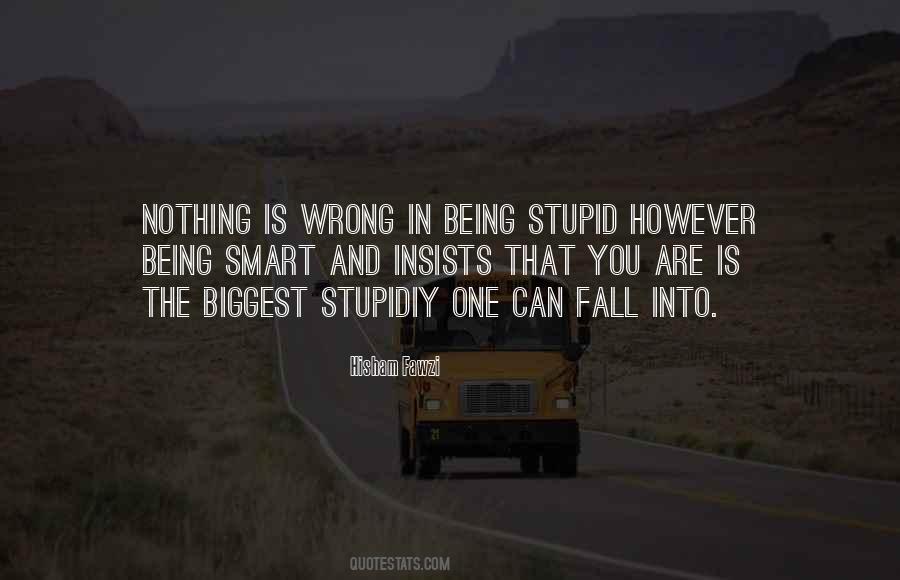 Hisham Fawzi Quotes #713694