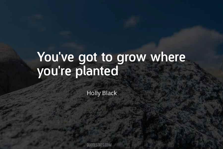 Holly Black Quotes #1787665