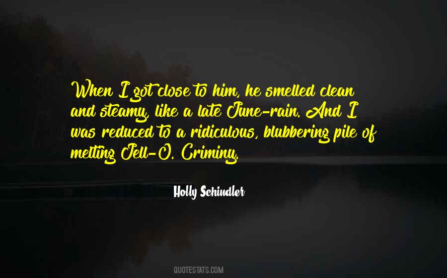 Holly Schindler Quotes #910132