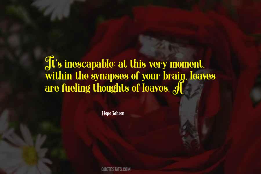 Hope Jahren Quotes #148674