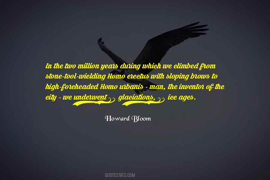 Howard Bloom Quotes #568504