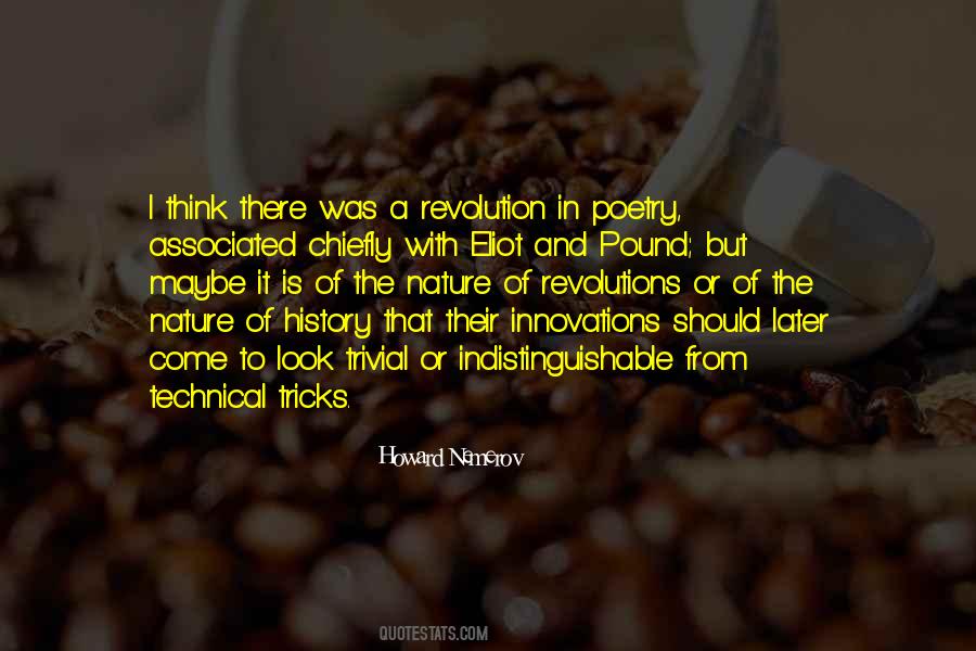 Howard Nemerov Quotes #136556