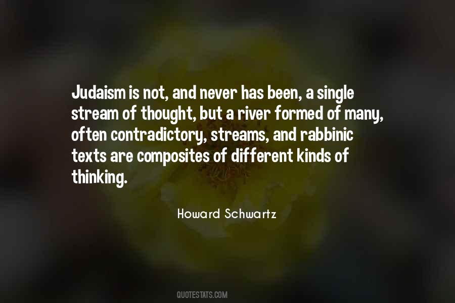 Howard Schwartz Quotes #806916