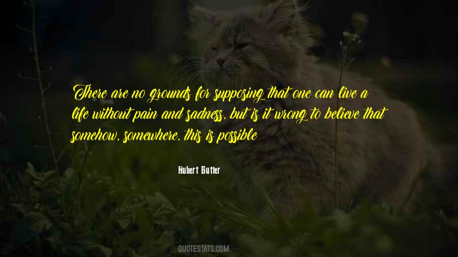 Hubert Butler Quotes #686420
