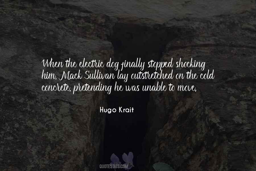 Hugo Krait Quotes #955979