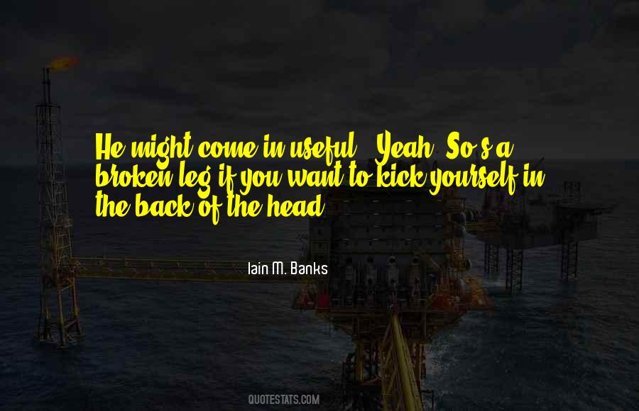 Iain M. Banks Quotes #497834