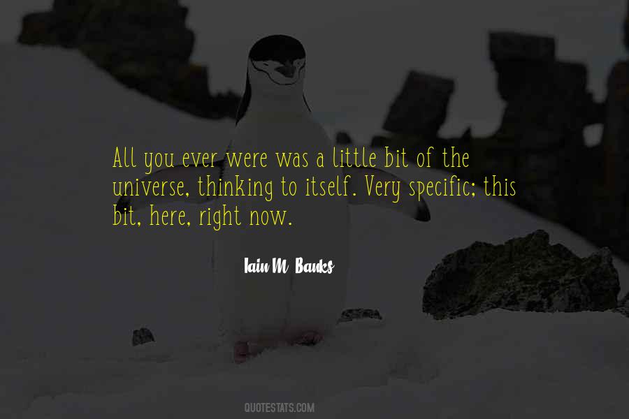 Iain M. Banks Quotes #497880