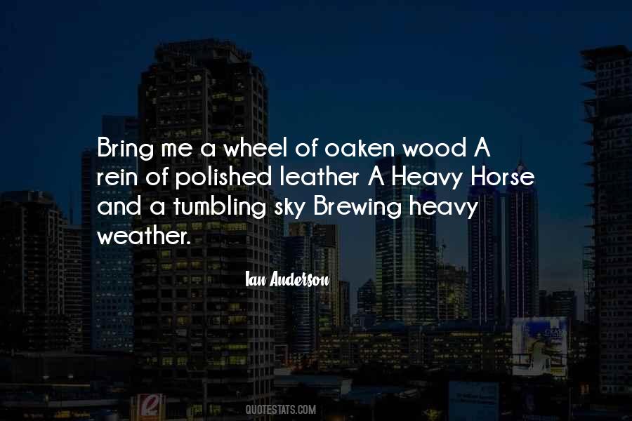 Ian Anderson Quotes #676563