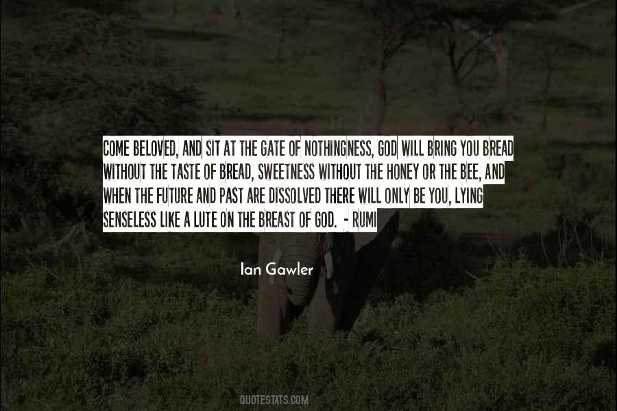 Ian Gawler Quotes #1383303