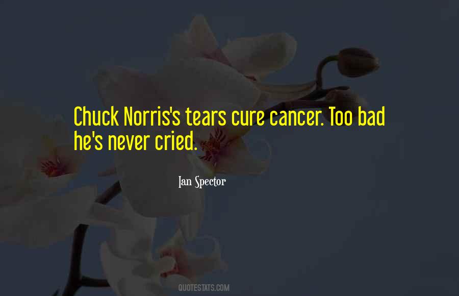 Ian Spector Quotes #314434 Ian Spector Quotes #314434