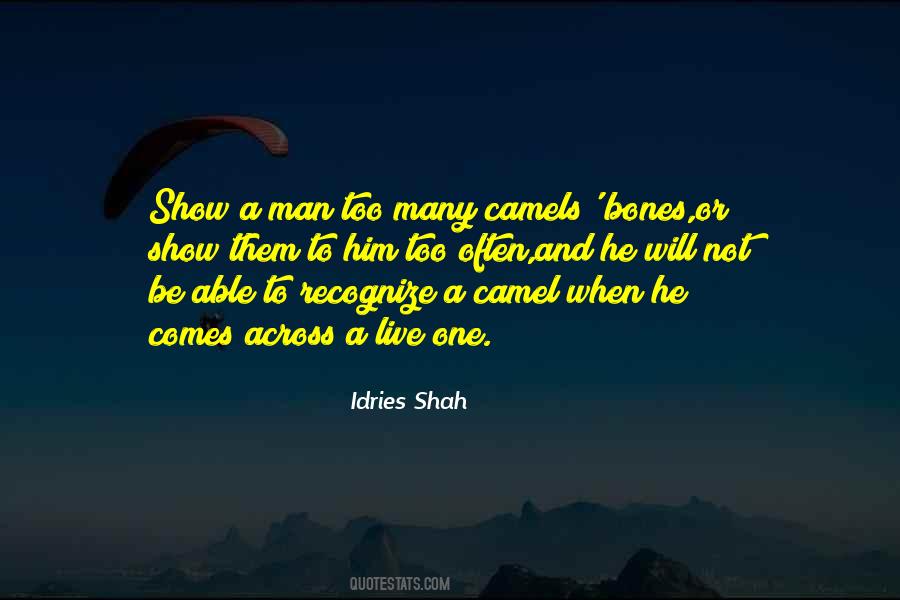 Idries Shah Quotes #680722