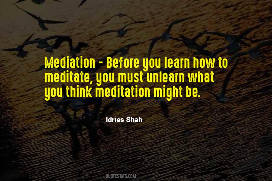 Idries Shah Quotes #808874