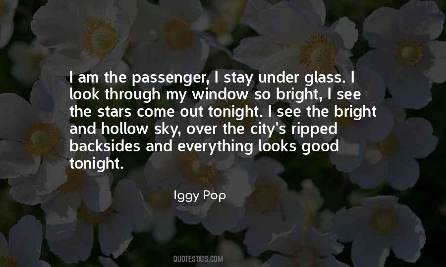 Iggy Pop Quotes #1263480