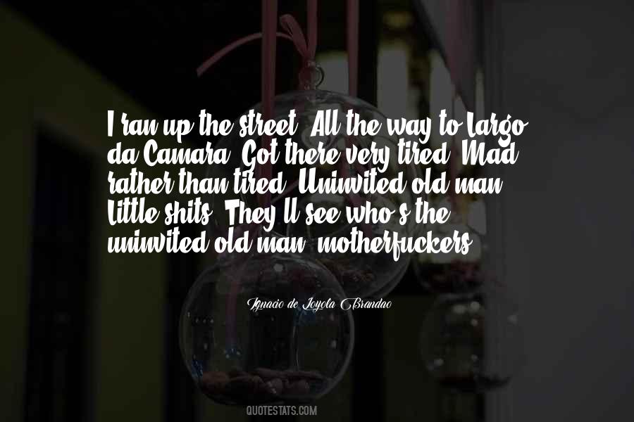 Ignacio De Loyola Brandao Quotes #1651570