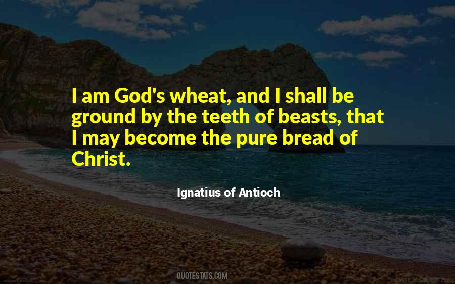 Ignatius Of Antioch Quotes #379381