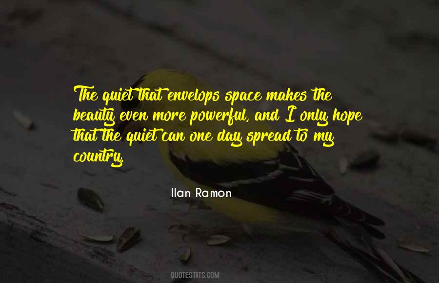 Ilan Ramon Quotes #1338678