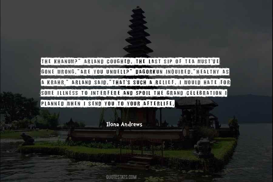 Ilona Andrews Quotes #595162