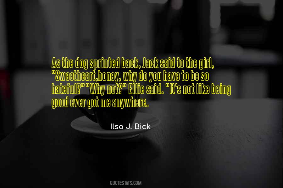Ilsa J. Bick Quotes #1242623