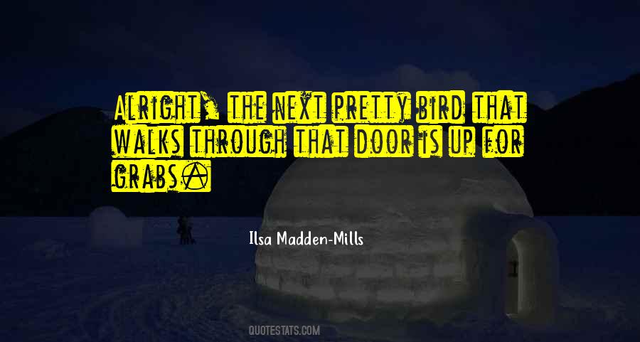 Ilsa Madden-Mills Quotes #967916
