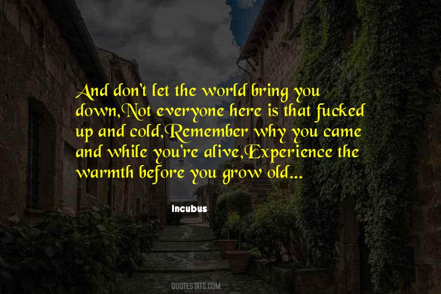 Incubus Quotes #1551797