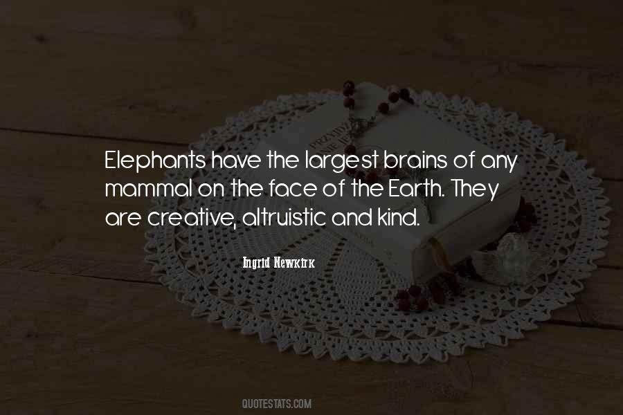Ingrid Newkirk Quotes #1252896