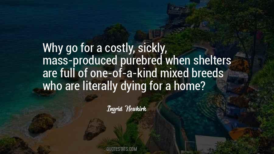 Ingrid Newkirk Quotes #1493090