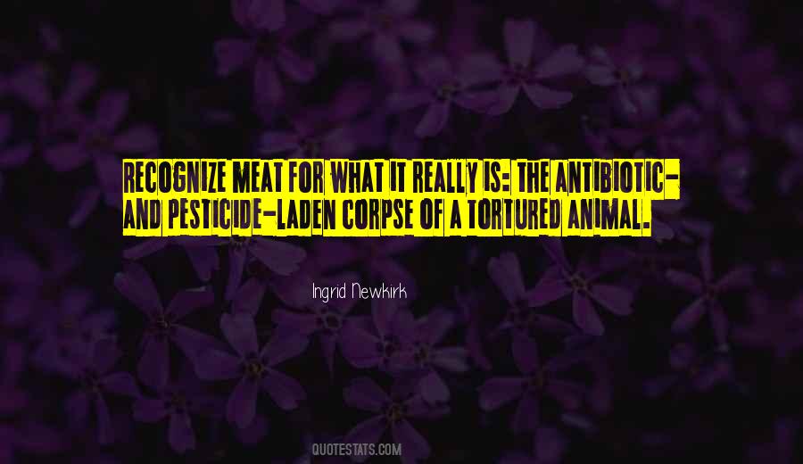 Ingrid Newkirk Quotes #1646673