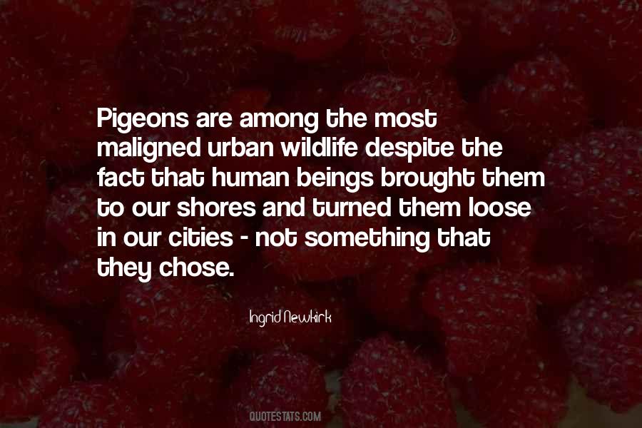 Ingrid Newkirk Quotes #750972
