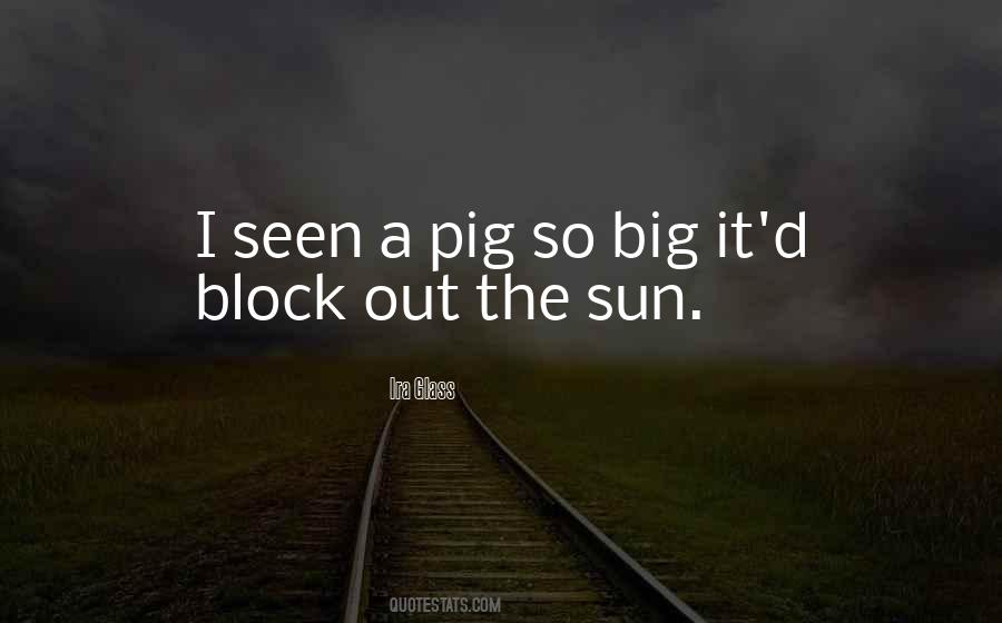 Ira Glass Quotes #1582192 Ira Glass Quotes #1582192