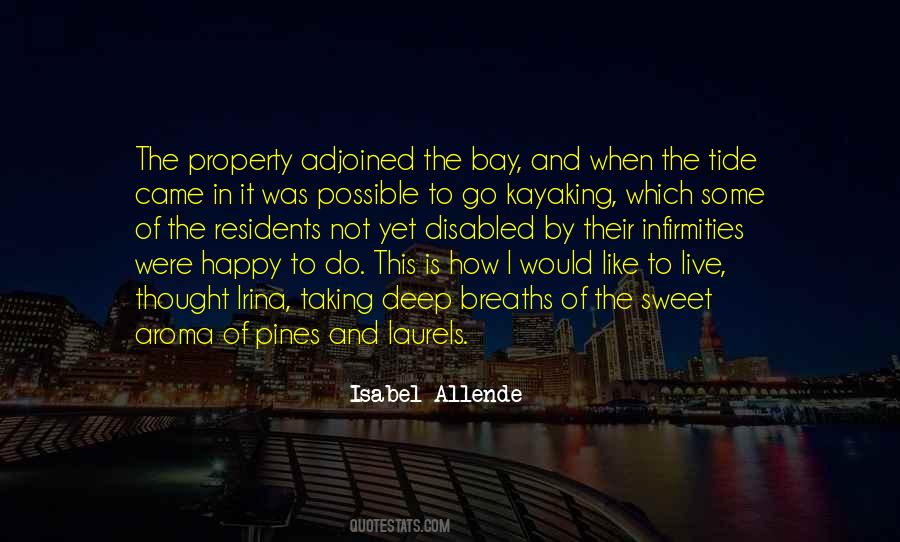 Isabel Allende Quotes #964983