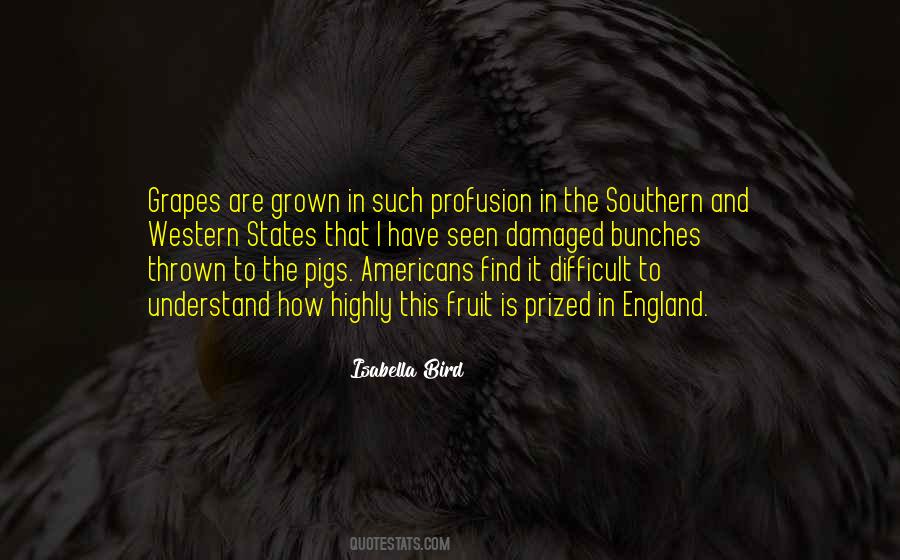 Isabella Bird Quotes #1013837