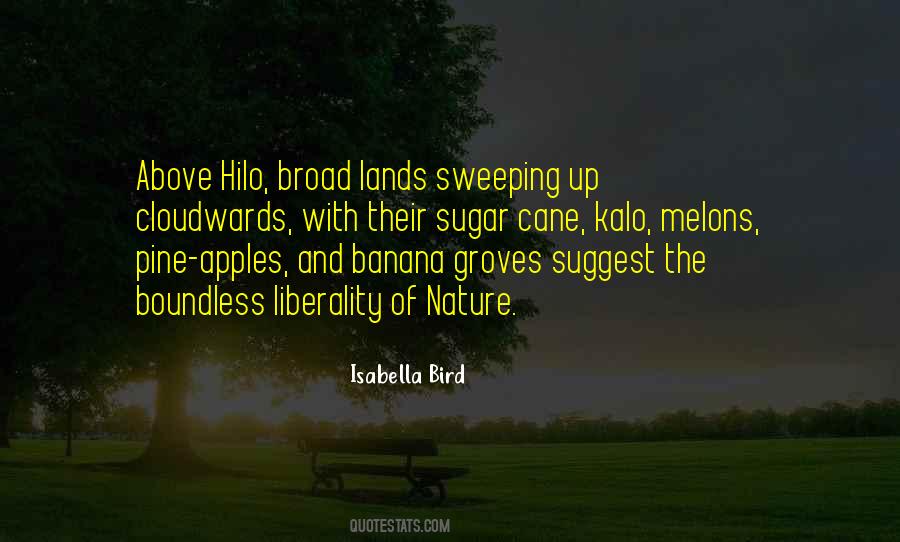 Isabella Bird Quotes #1105969