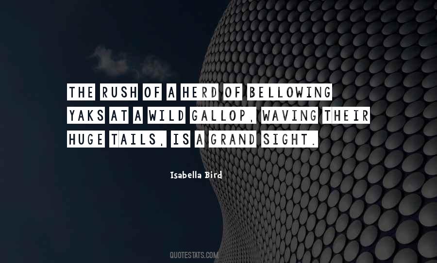 Isabella Bird Quotes #1309040