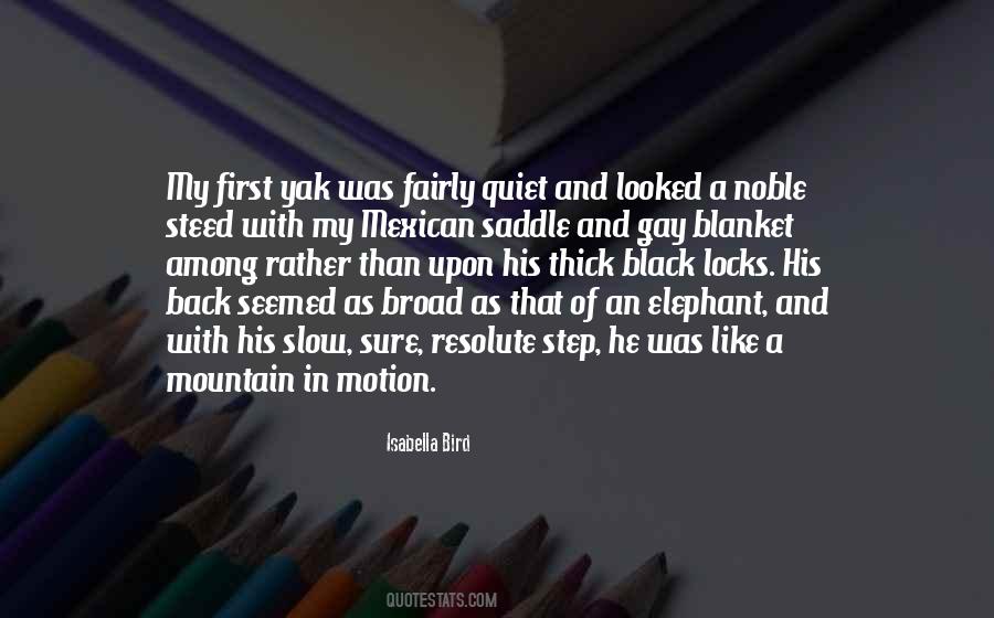 Isabella Bird Quotes #1722220