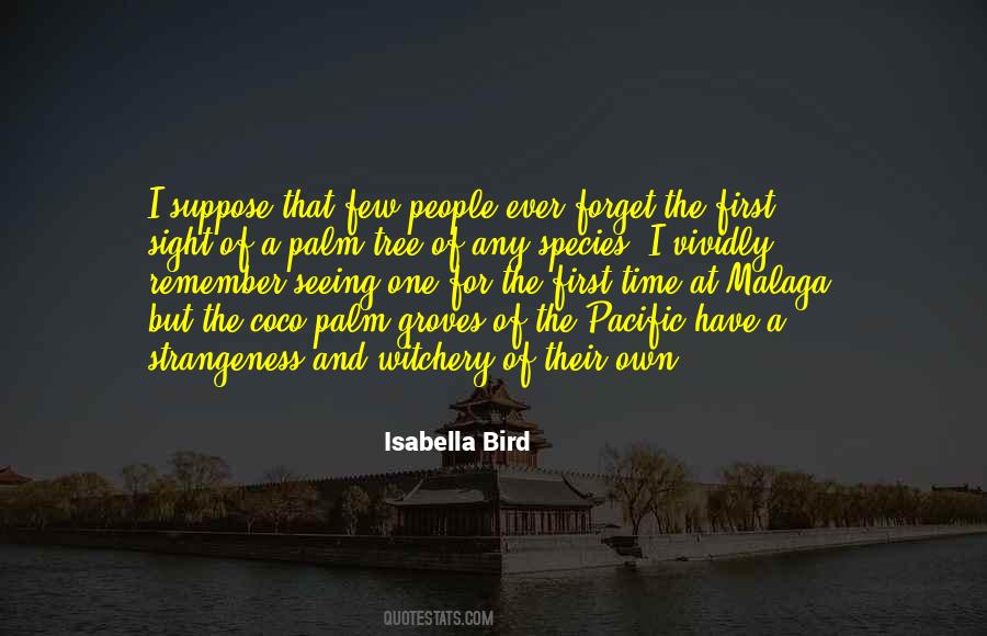 Isabella Bird Quotes #302827