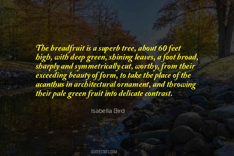Isabella Bird Quotes #304817