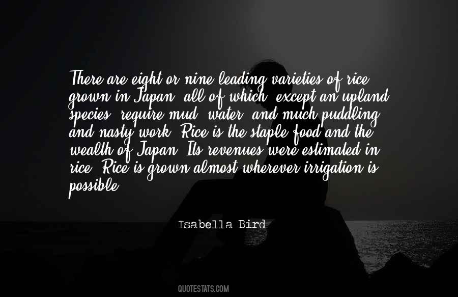 Isabella Bird Quotes #653152
