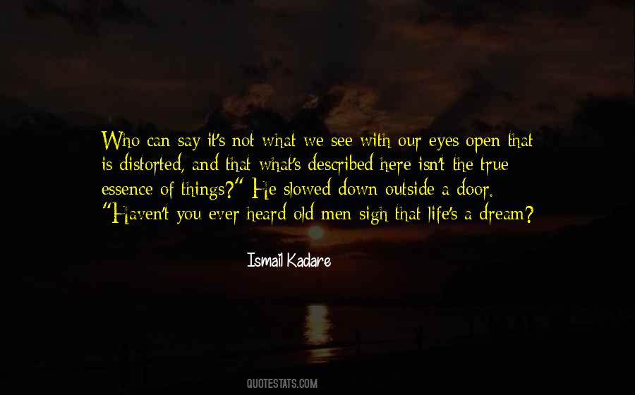 Ismail Kadare Quotes #102489